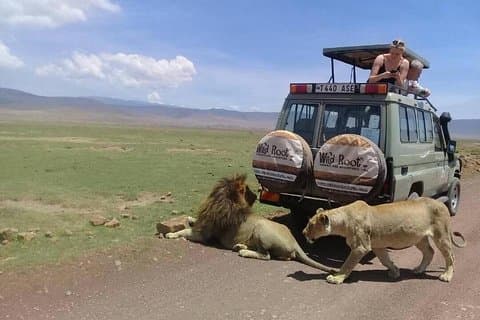 4: Tage Big Five Safari