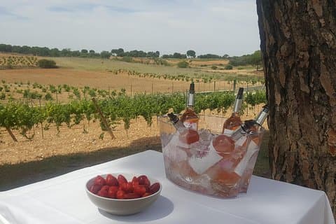 Rondleiding glas in de hand met wijnproeven rechtstreeks uit het vat