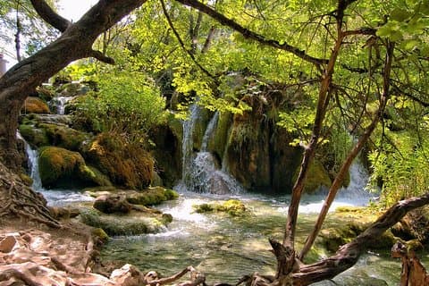 Split a Rijeka a través de los lagos de Plitvice Tour privado