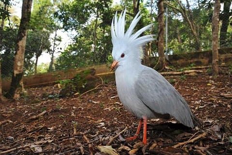 Zoological and Forestry Park Admission Ticket with LYVAI
