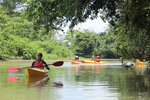 Safari in kayak