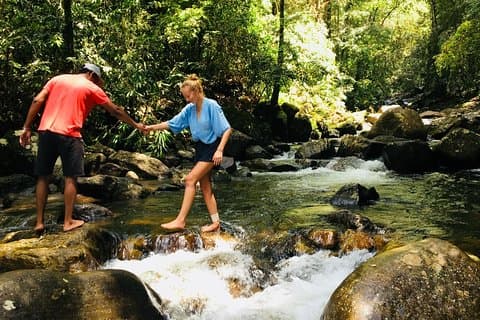 Entdecken Sie das Singharaja Forest Reserve (Mirissa / Weligama & Galle)