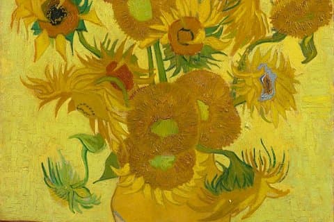 Amsterdam: ingresso al Museo Van Gogh e crociera sui canali della città di 75 minuti