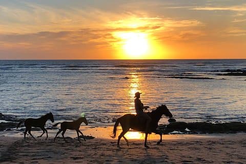 Private tours and transfer Costa Rica