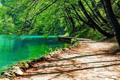 Da Spalato: tour guidato del Parco nazionale dei laghi di Plitvice