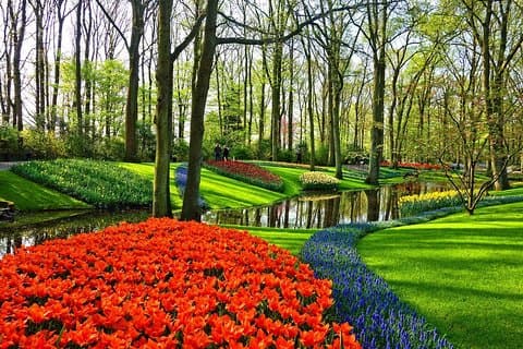 Private Keukenhof, Gardens, Windmills, cheese tour from Amsterdam