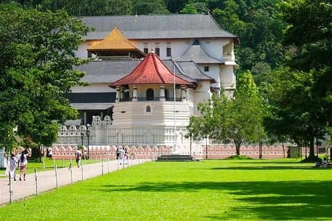 Kandy dagstur