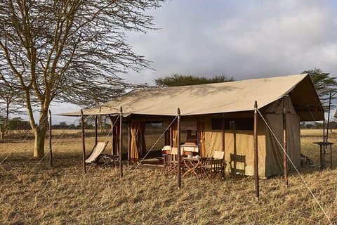 4 Tage Abenteuer Lake Manyara, Serengeti & Ngorongoro