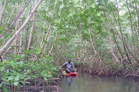 Stand up paddle in paradise