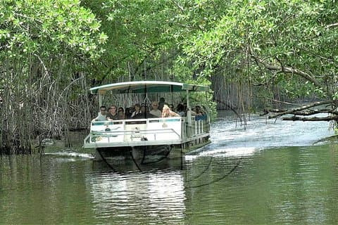 YS Falls plus Black River Safari Guided Tour w/Lunch & Admission from Falmouth