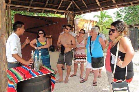 Tequila Geschiedenis en Proeverij Ervaring en Onbeperkt Strand Break
