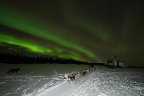 Avistamiento de auroras boreales, incluyendo cena y trineo de perros