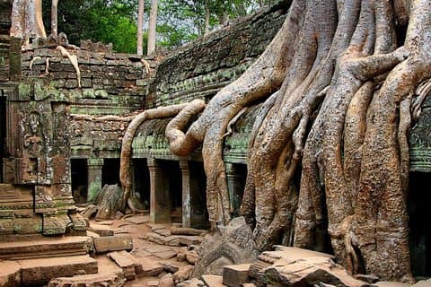 Angkor Wat solopgang eller solnedgang tur med guide fra Siem Reap