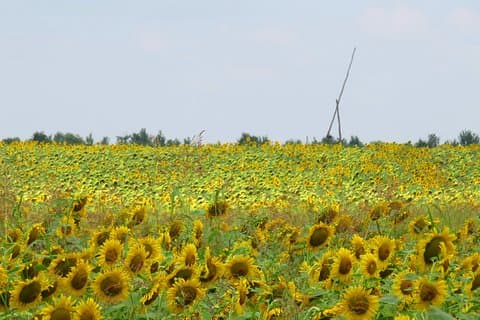 100 km à vélo autour de Bucarest
