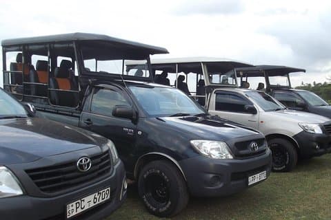 The Best Safari tour from Hambantota Port (Janaka safari)