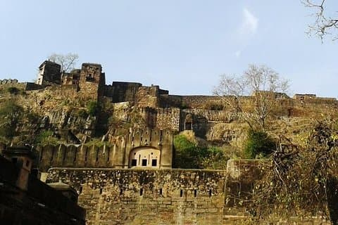 Privat 3-dagers tur til Ranthambore The Wildlife Safari
