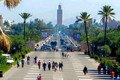 Marrakech & Essaouira = 2 dages tur fra Agadir