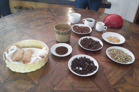 Escapada de un día a los pueblos mágicos de Coatepec y Xico y a Xalapa desde Veracruz