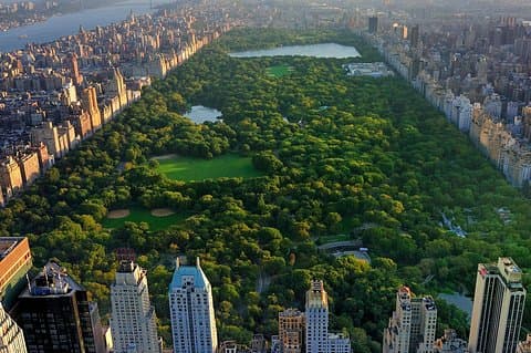 Visite classique de Central Park Pedicab