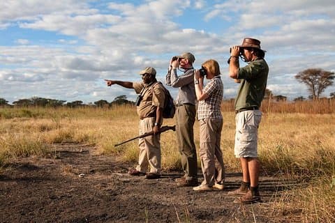 Mikumi National Park Walking And Game Drive Safari From Morogoro