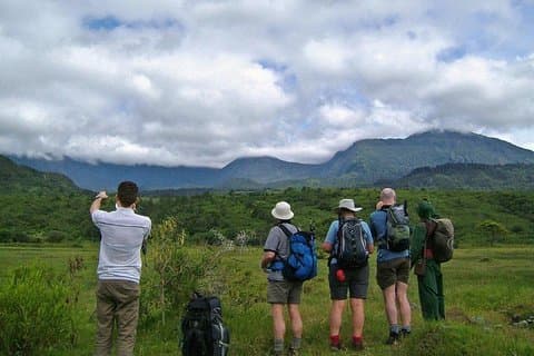 Arusha National Park Day Tour