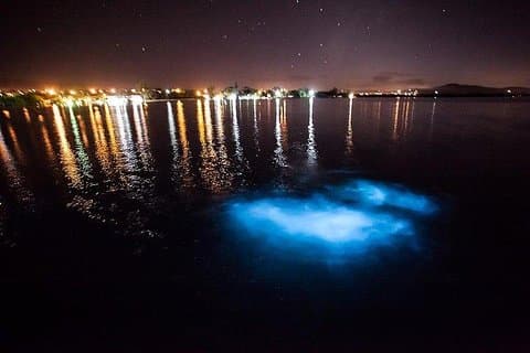 Luminous Lagoon Magical Tour