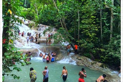 Dunn's River Fall