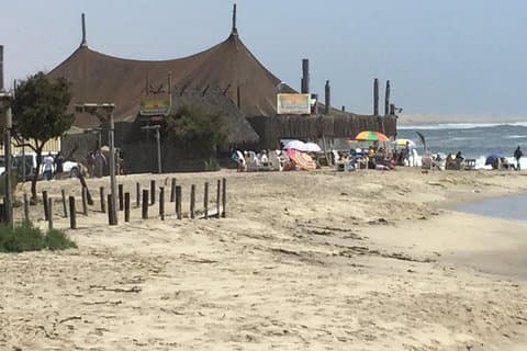アフリカ向けサマーサファリパッケージ