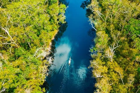 Everglades Explorer - Noosa Everglades Tour