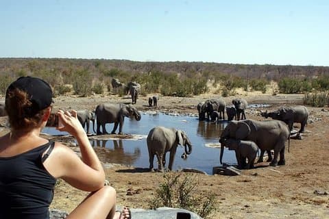 Safari de camping économique de 3 jours à Etosha