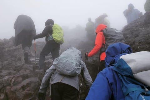 Mt. Kilimanjaro-Tageswanderung