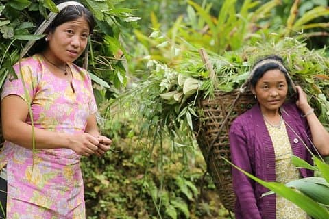 Kulturreise durch Sikkim (7 Tage)