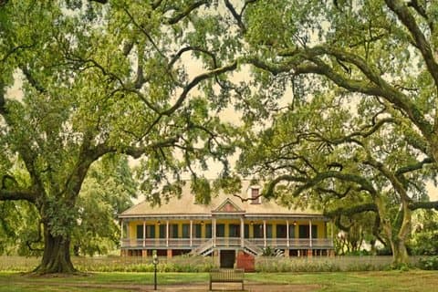 Liten gruppe Laura og Whitney Plantation Tour fra New Orleans