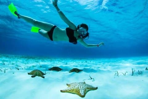Roatan North Side Mangroves, Starfish, Shipwreck Snorkling & Transportation