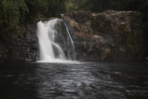 Sinharaja' rainforest - Adventure Tour (Full day)