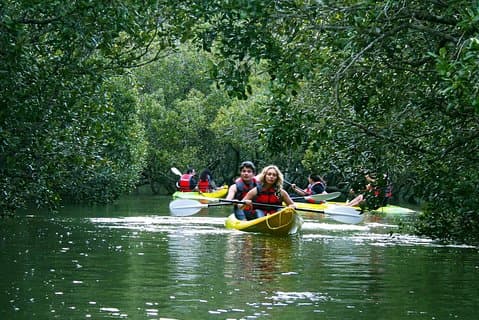 Bay of Islands Waterval Explorer Kajaktocht