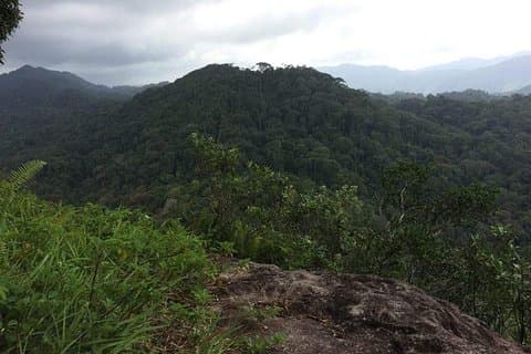 Utforsk Sinharaja Rainforest Lions Rock Hike Full dag