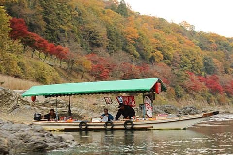 [Private] Kyoto Tailored Tour (Guide + Private Transport)