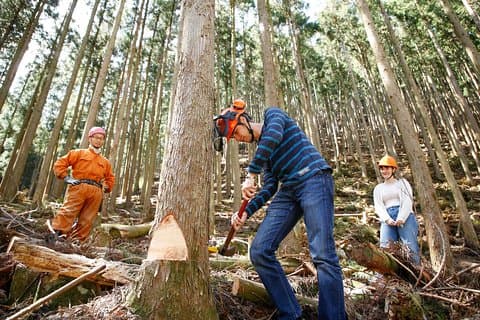 Discover Forester's Life tour (1-day)