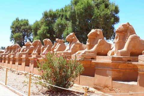 Excursão turística privada de dia inteiro em Luxor saindo do Cairo de avião