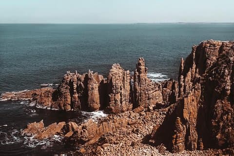 Excursion en petit groupe à Phillip Island Penguins & Randonnée (4-11 invités)