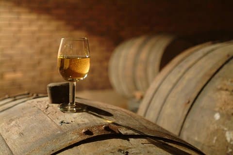 Visite de dégustation de vin dans une région viticole