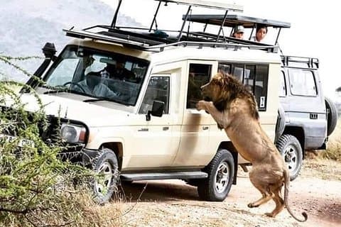 4 Days Serengeti Splendor Adventure