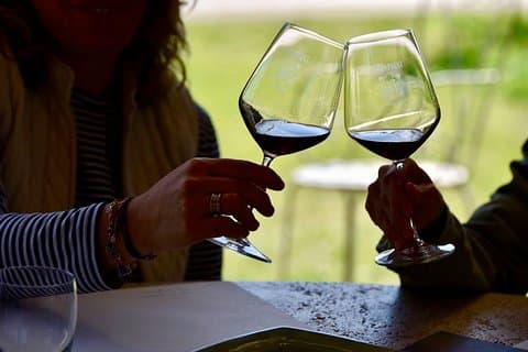 Vingårdsturer och provningar i Bolgheri med vinguide