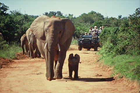3 - Days Cape Town African Dinner-Zip-lining - Cruzeiro com Champagne