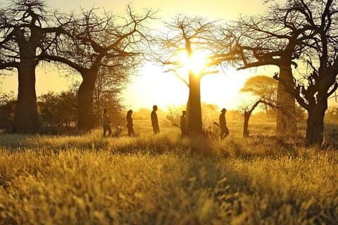 2-daagse Mikumi National Park Tour