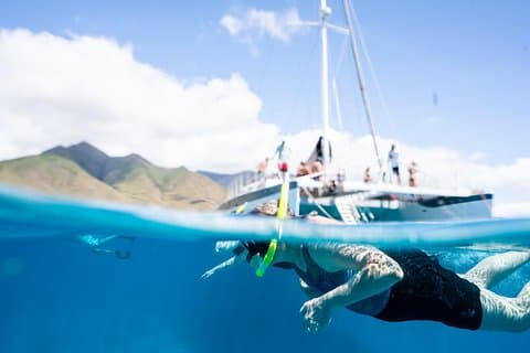 Lahaina Maui Sea Turtle Snorkel Sail Adventure com almoço e bar aberto