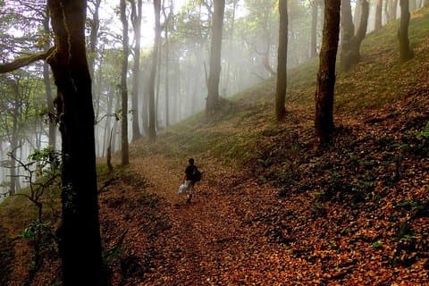 Himalaya Nag Tibba trek Excursão privada a partir de Dehradun