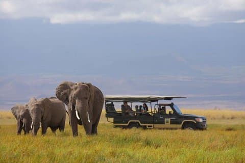 2- Day Amboseli & Mt Kilimanjaro Fly In Safari from Diani Beach