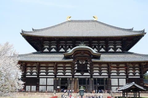 Nara Private Tour de transporte público de Osaka